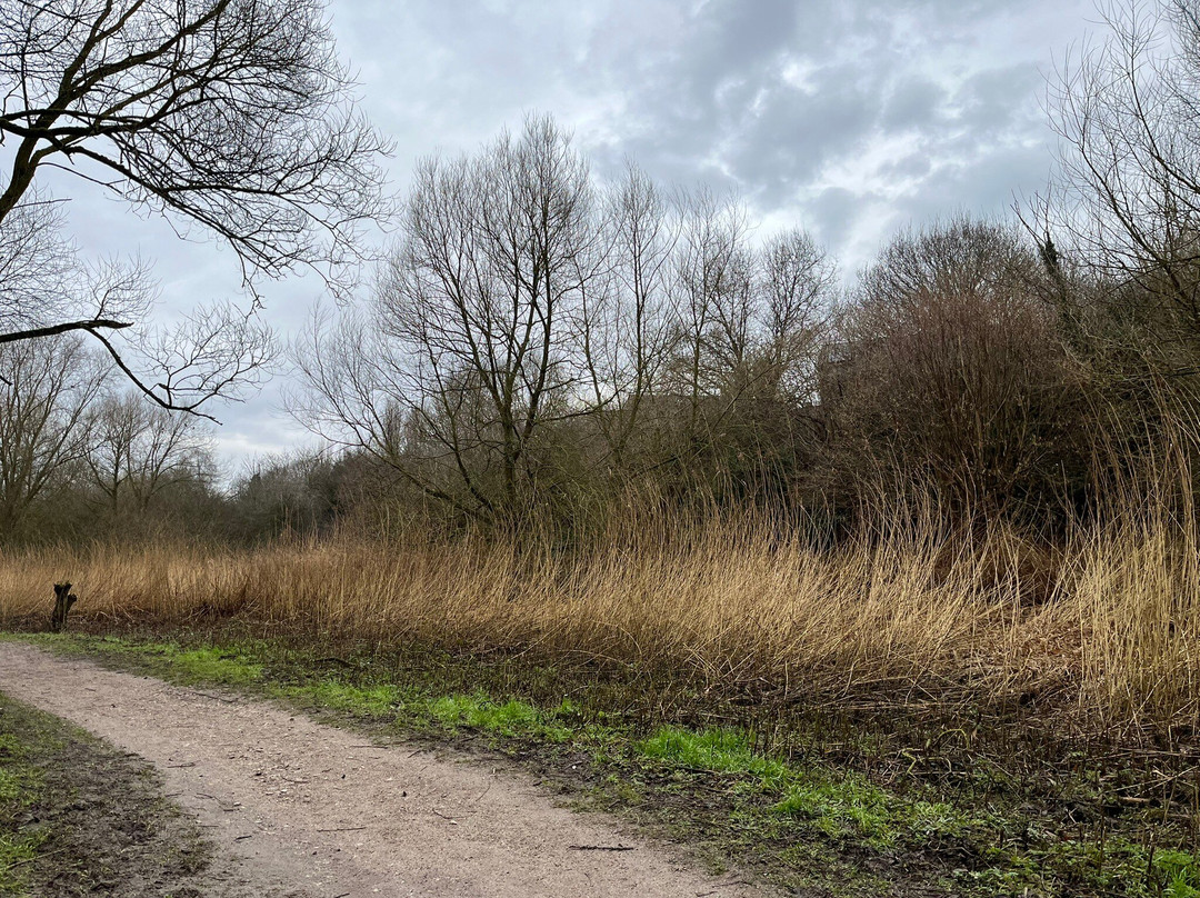 Caldy Nature Park-切斯特必去景点