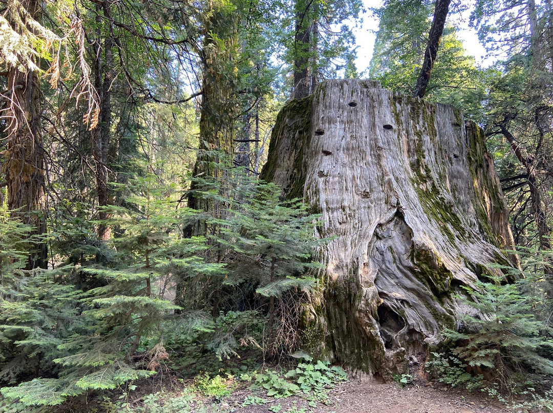 内尔德格罗夫-马德拉必去景点
