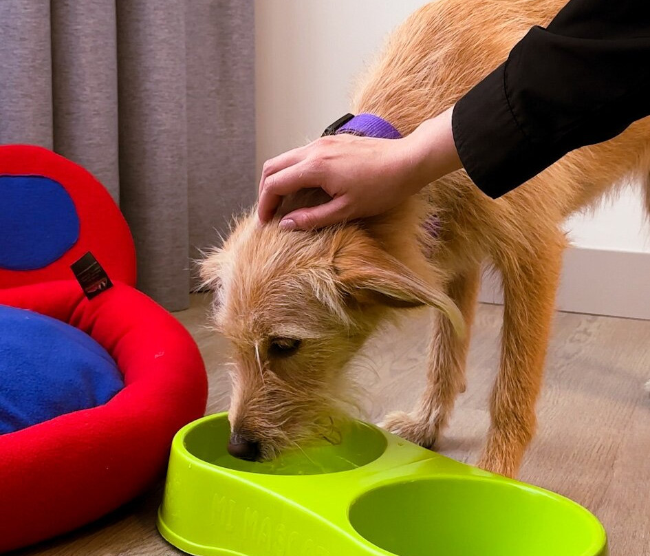 La Quinta by Wyndham Quito主图