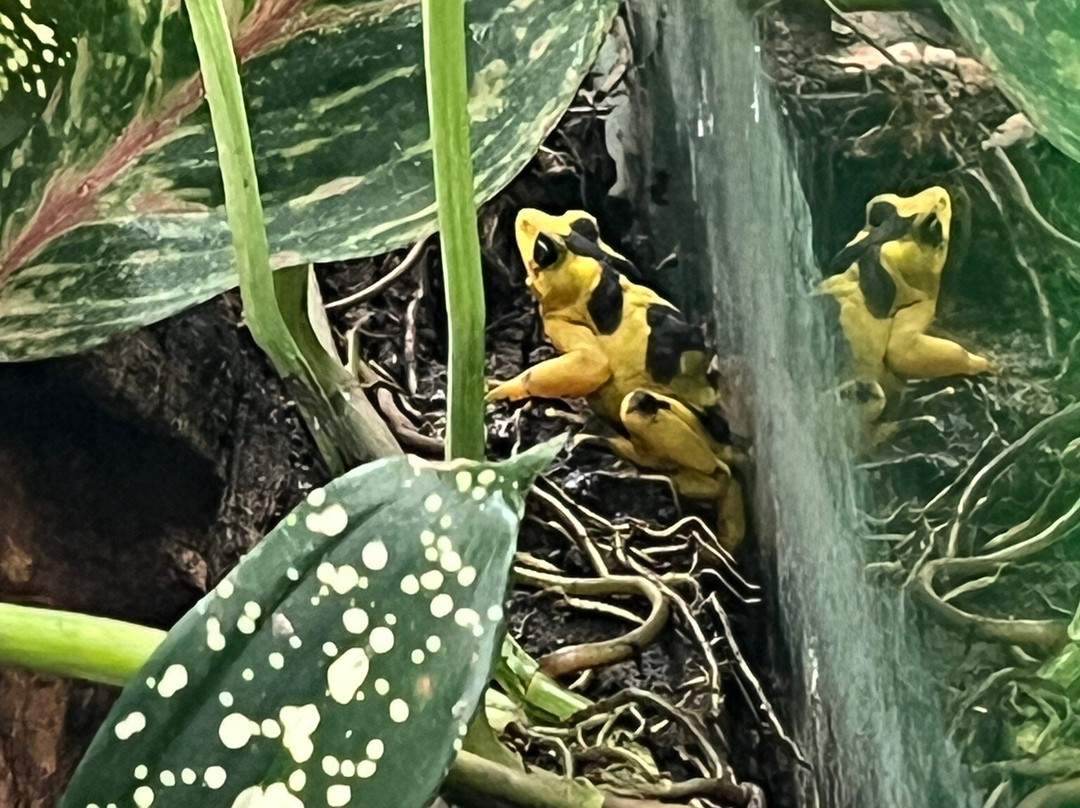 Punta Culebra Nature Center景点图片