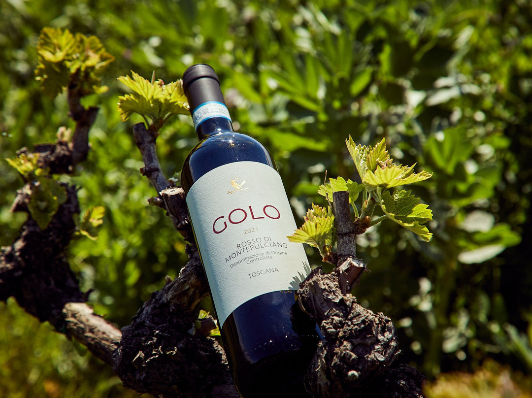 Tenuta Golo - Winery & Villa主图