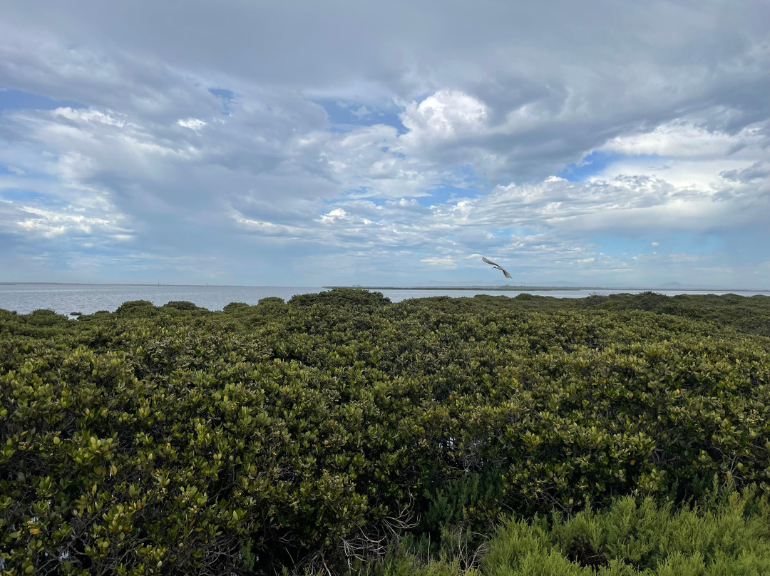 Christopher Robinson Walking Trail-Port Albert必去景点