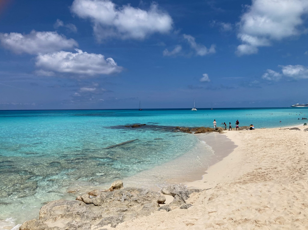 Radio Beach-Alice Town必去景点