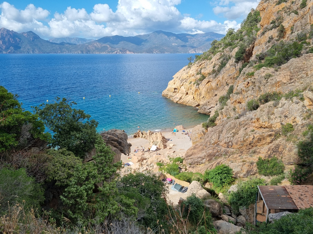 Plage de Ficajola景点图片
