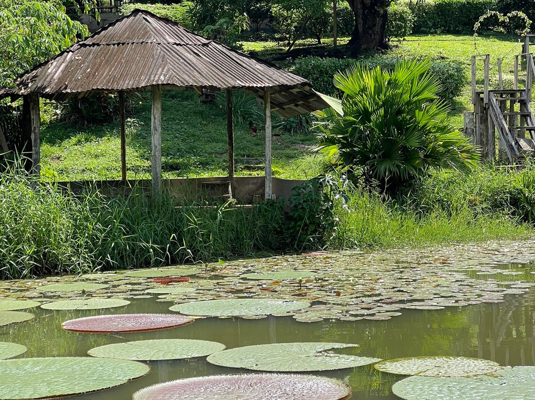 Amazon Guide David Rios-伊基托斯必去景点