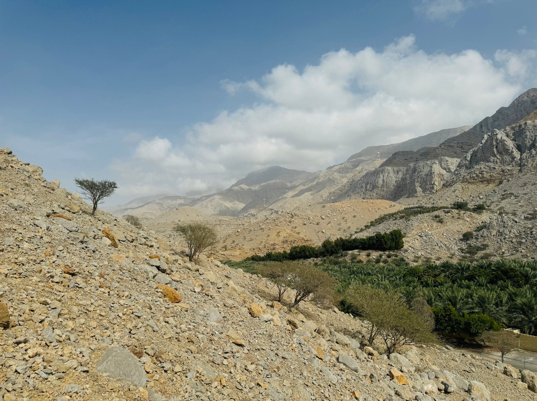 哈伊马角旅游景点-Al Dhayah Fort