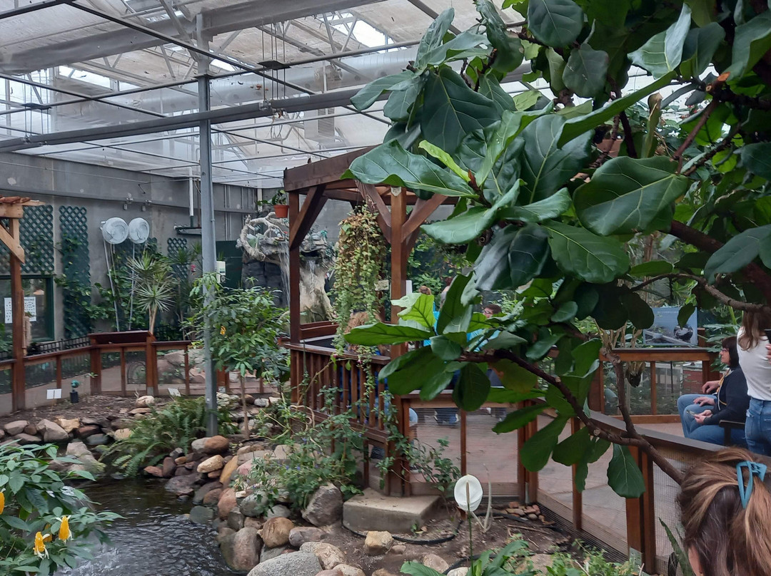 Butterfly House & Aquarium景点图片
