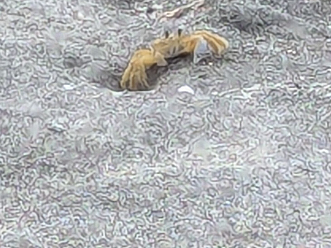 Mero Beach-罗索必去景点