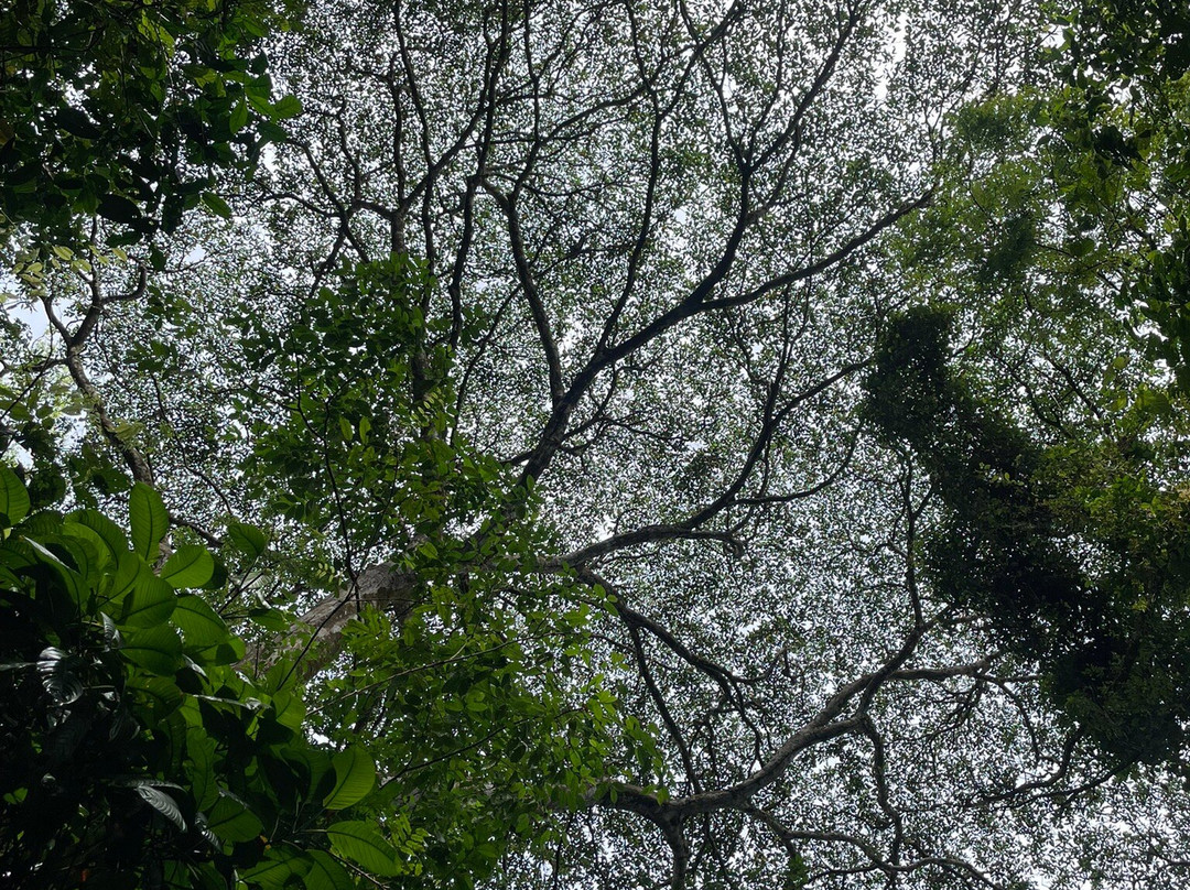 Eco Expeditions CR景点图片