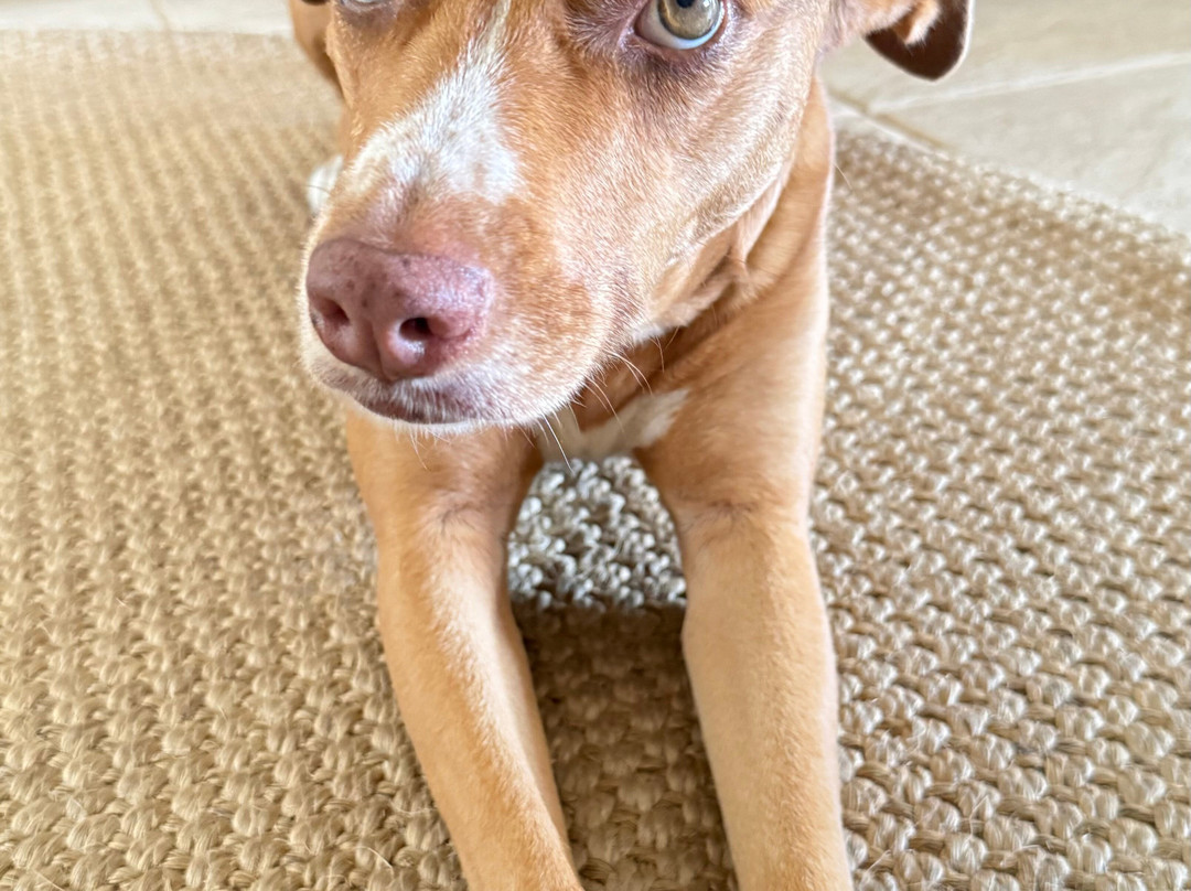 Hospedaria Do Lago主图