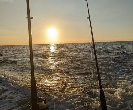 Freedom Charters-伊登港必去景点