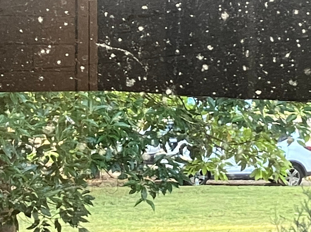 Pleasant Way River Lodge主图