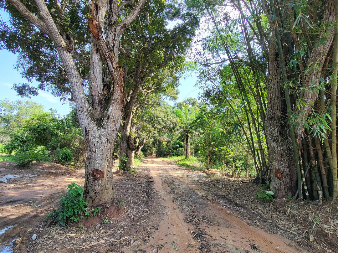 Gorges of Diosso-Pointe Noire必去景点