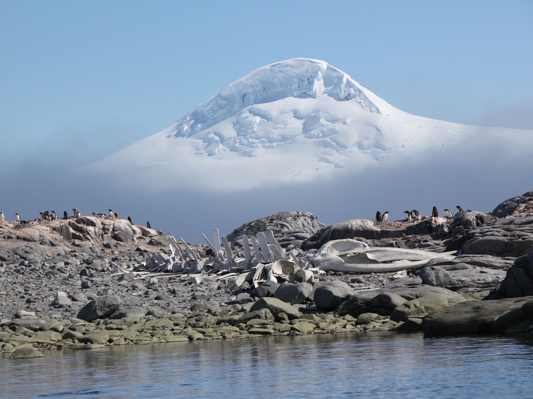 Gonzalez Videla Research Base-Paradise Harbour必去景点