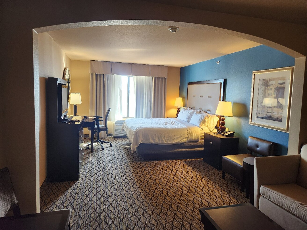Holiday Inn Express & Suites Wichita Falls By IHG主图