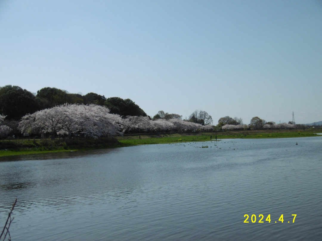 Tataranuma Park景点图片
