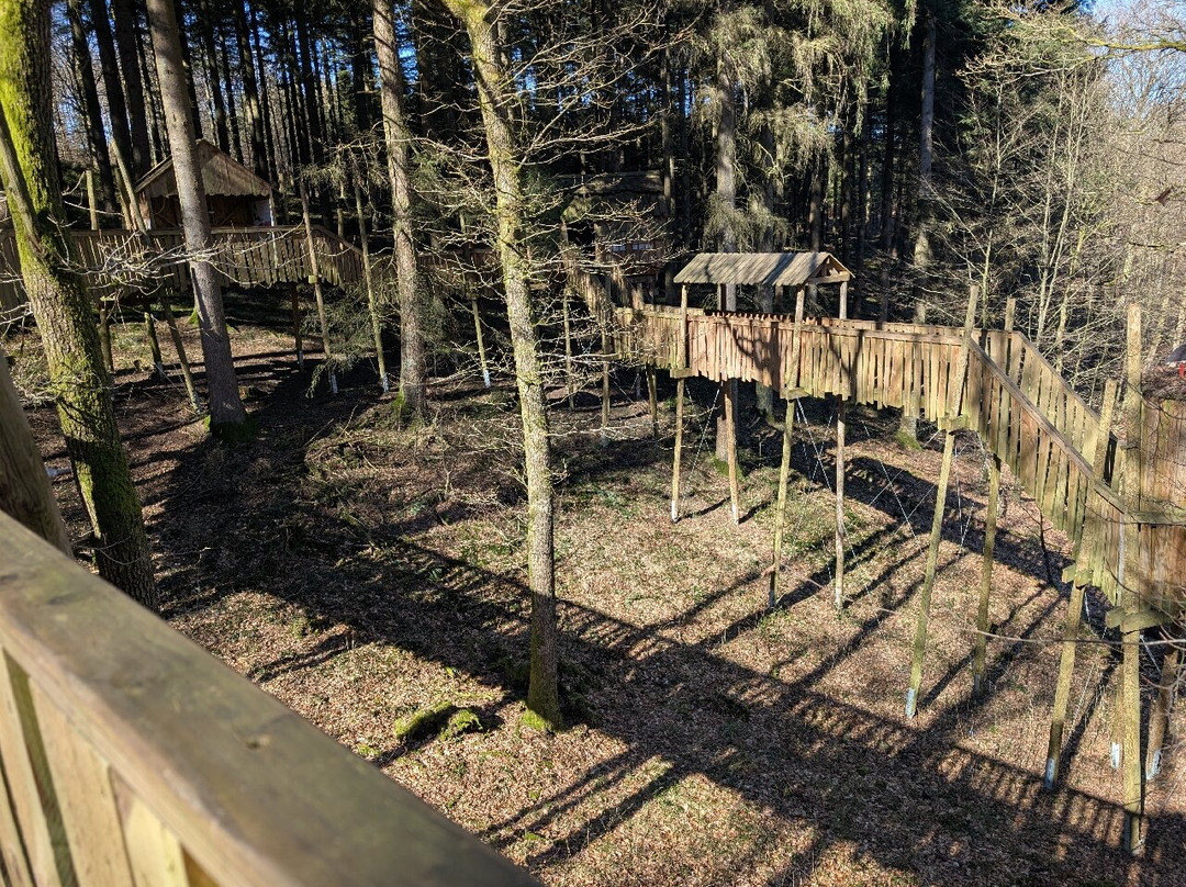 Parc Forestier Récréatif Chlorophylle景点图片