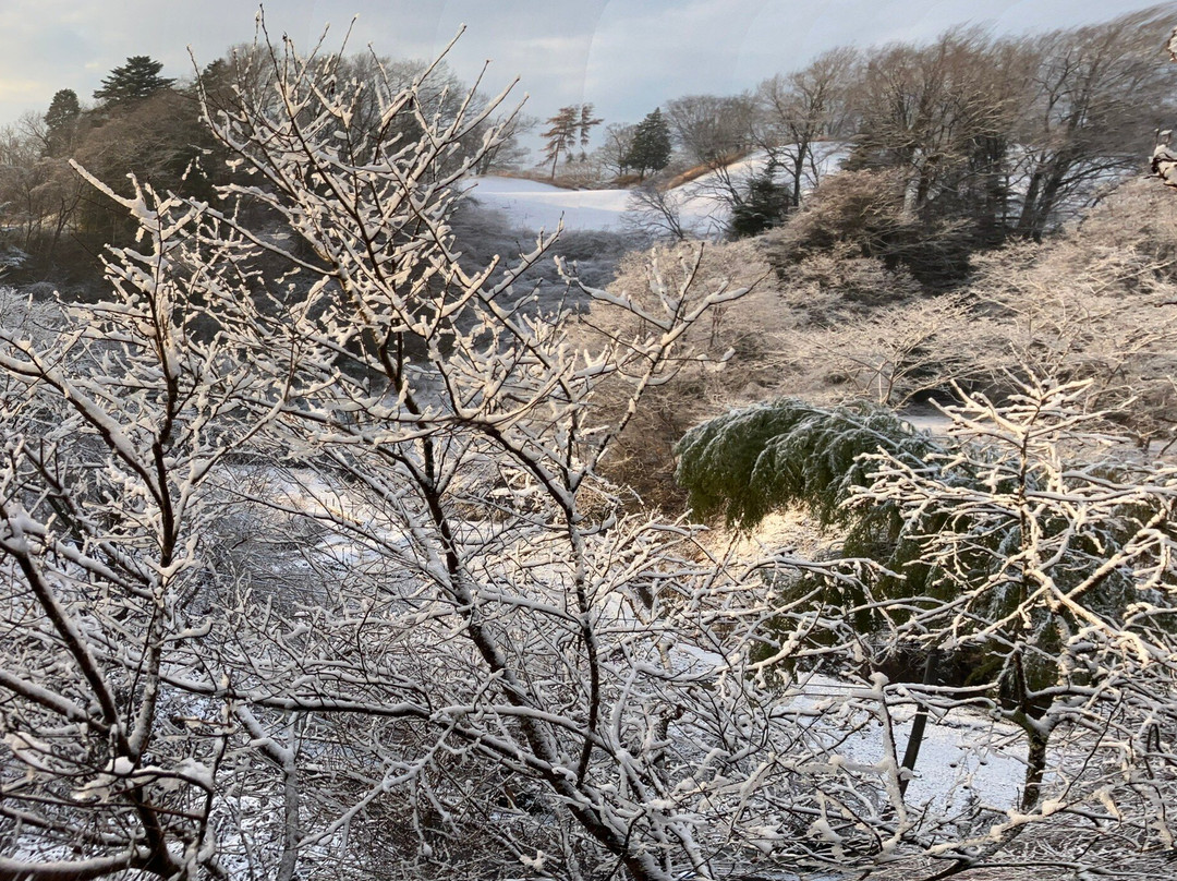 Yunosawa Kosen主图