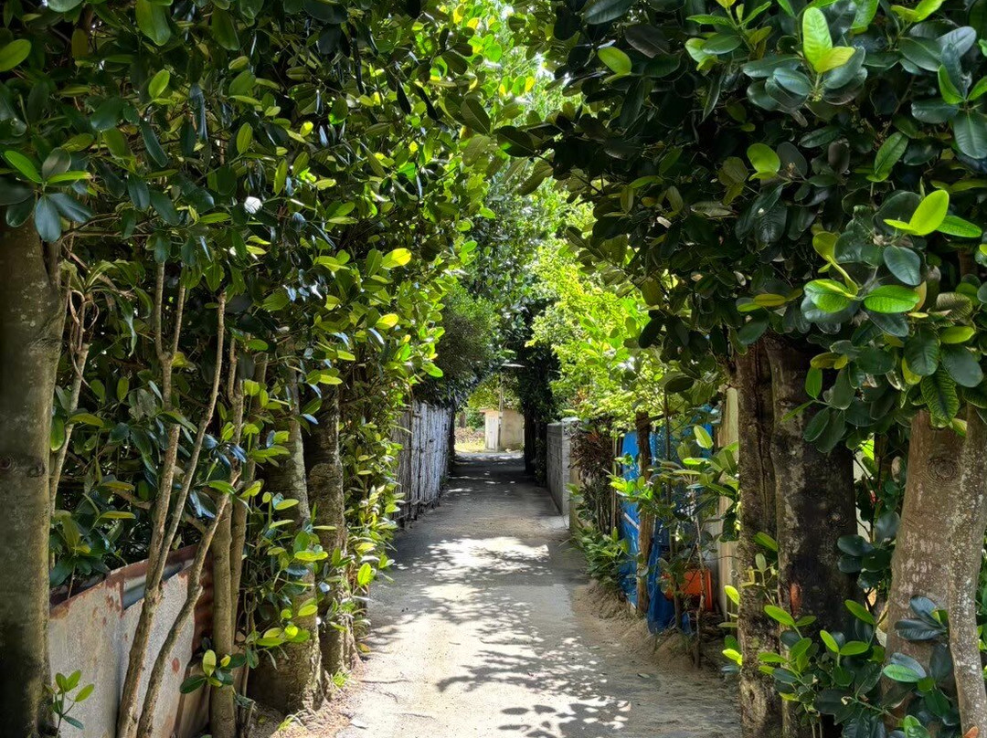 Imadomari Beach-恩纳村必去景点