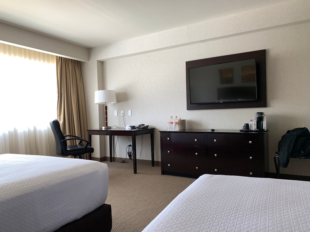 Crowne Plaza Leon by IHG主图