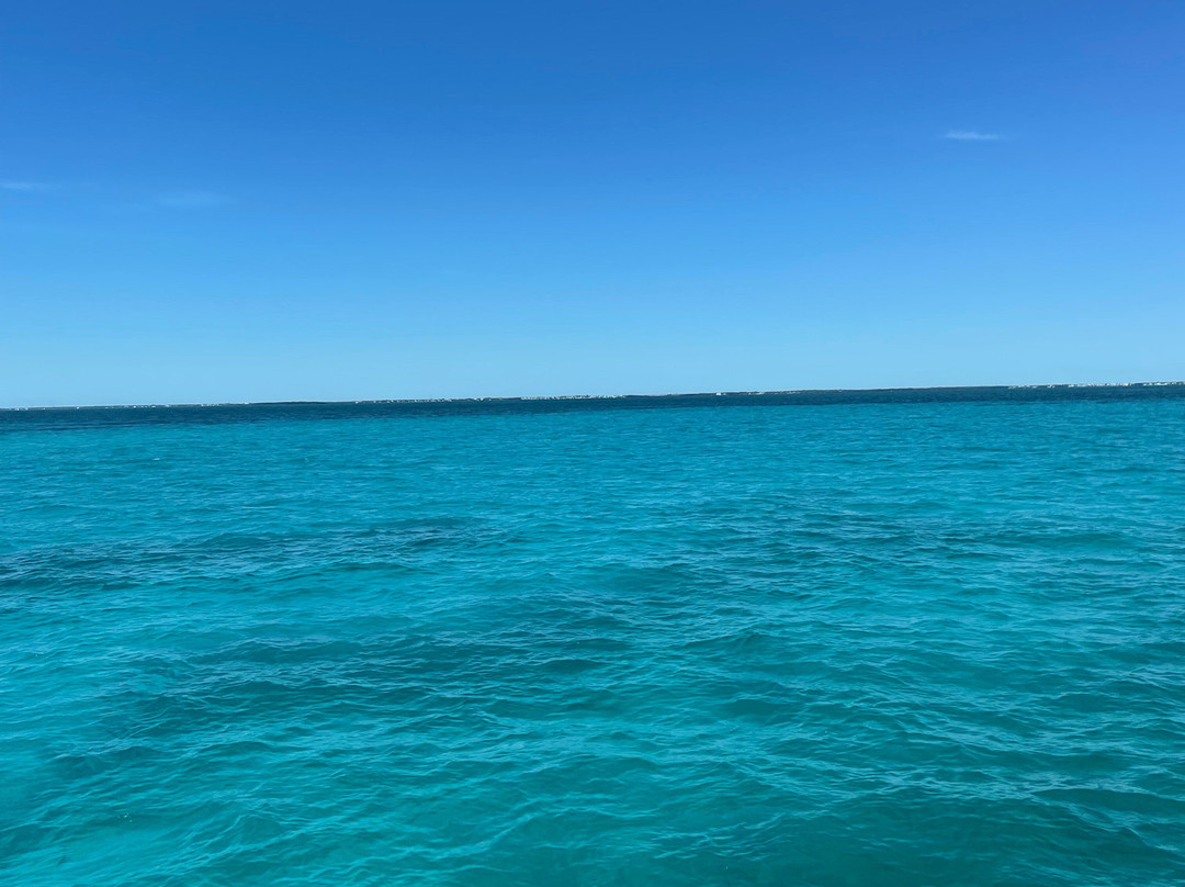 FL Keys Unique Diving-拉哥岛必去景点