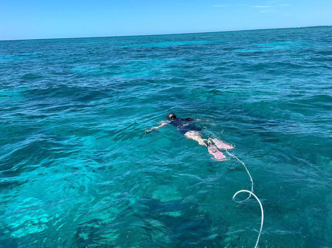 FL Keys Unique Diving-拉哥岛必去景点