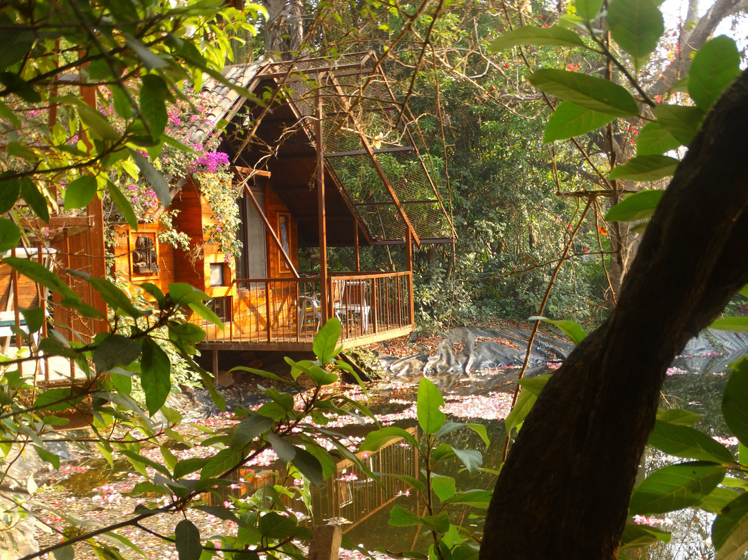 Jalsrushti Island Resort主图