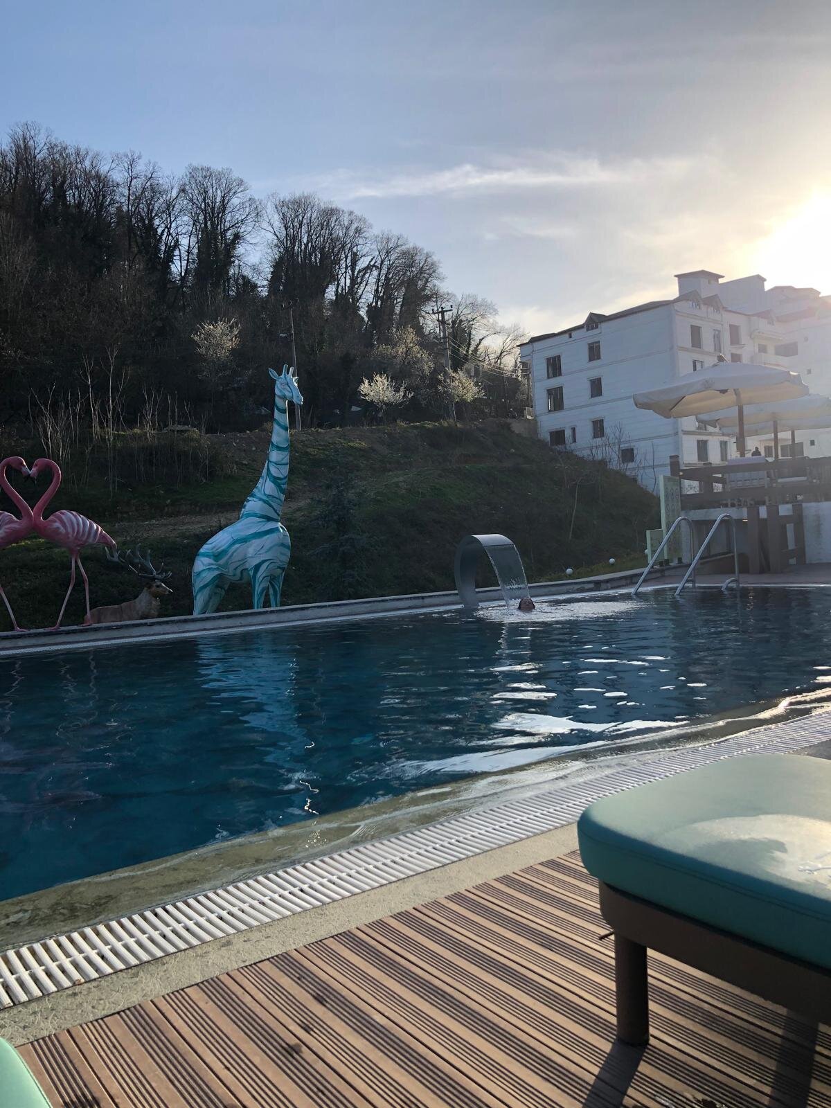 Vital Thermal Hotel & Spa-泳池