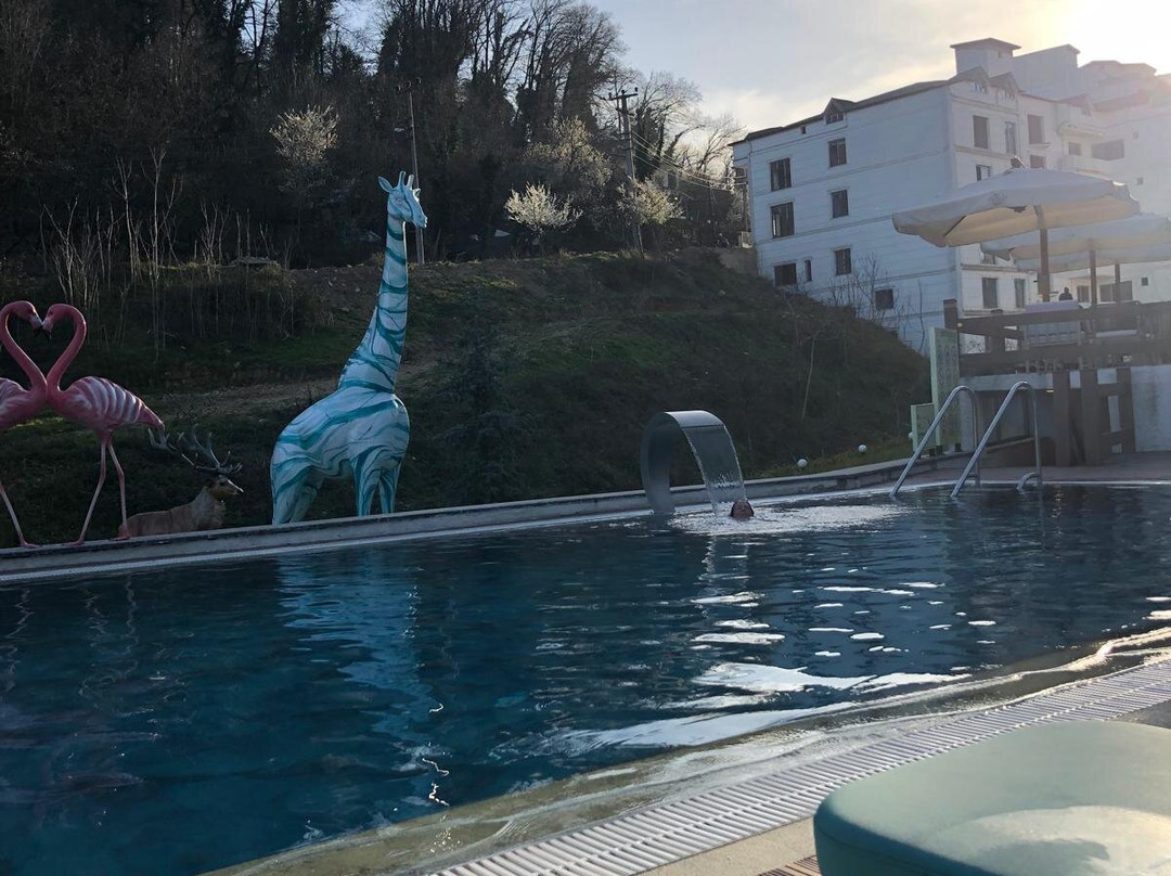 Vital Thermal Hotel & Spa主图