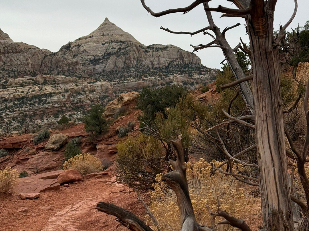 Cassidy Arch-圆顶礁国家公园必去景点