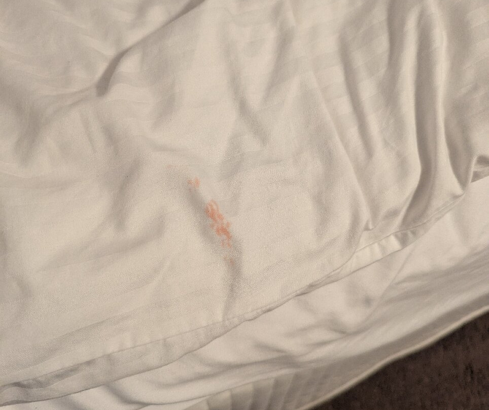 巴瑟尔顿博丹B＆B酒店主图