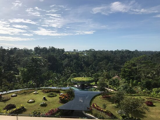 乌布帕德玛酒店主图