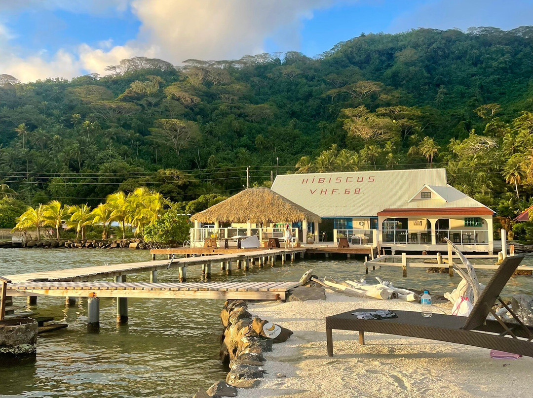 Pension Hibiscus Taha'a主图