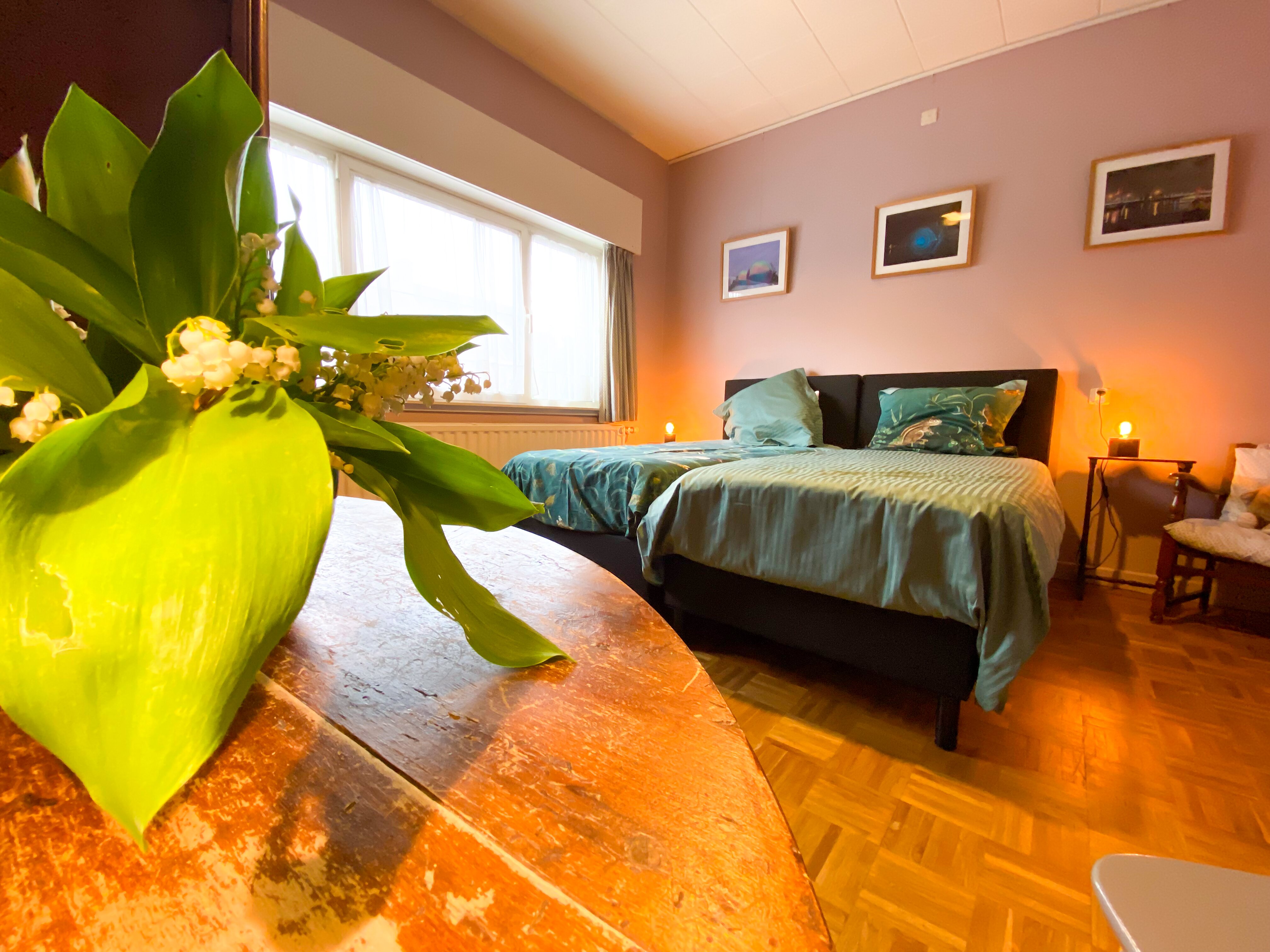 Huisje Kakelbont B&B-客卧