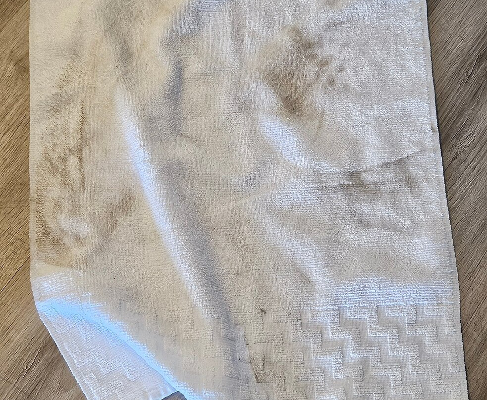 Best Western Space Age Lodge主图