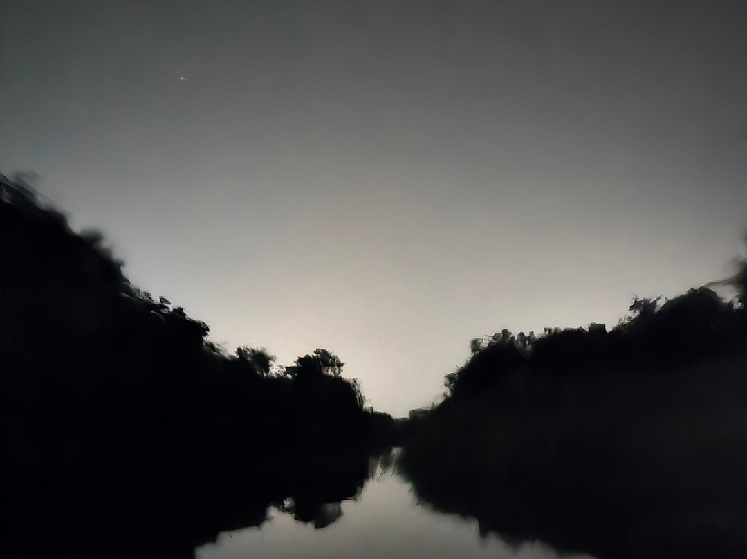 Cambute Mangrove Tours景点图片