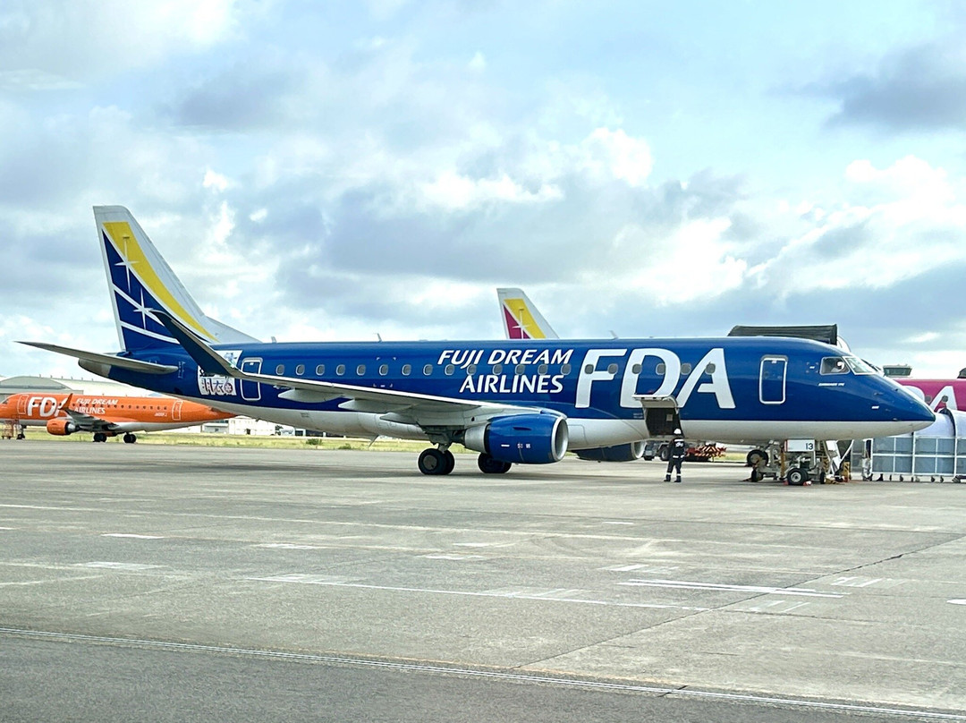 Nagoya Airport Observation Deck-丰山町必去景点