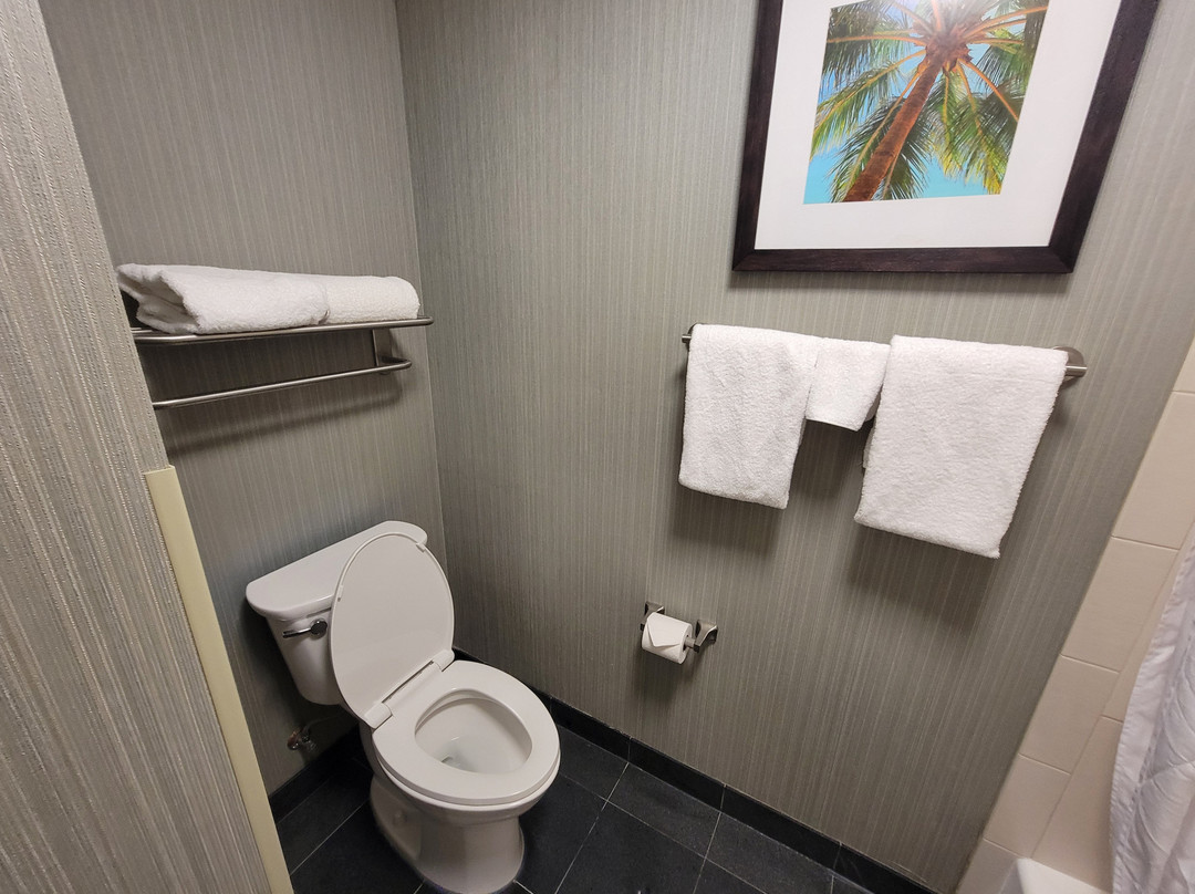 Drury Inn & Suites Gainesville主图
