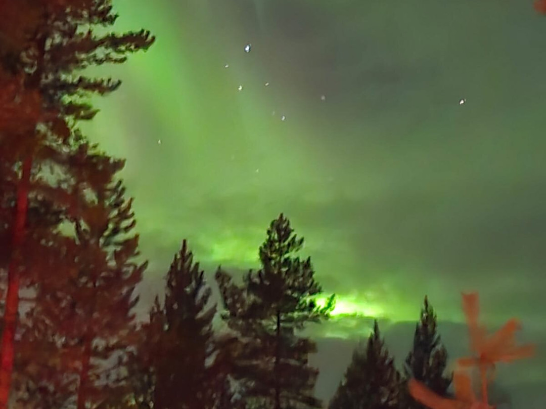 Fjellborg Arctic Journeys-基律纳必去景点