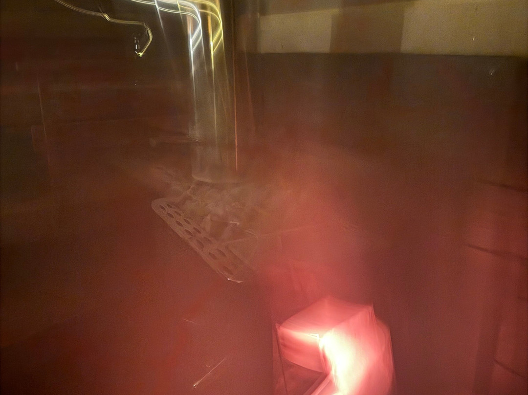 Wild Blueberry-罗瓦涅米必去景点