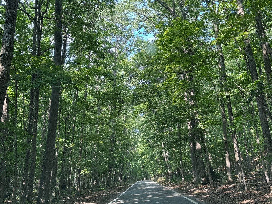 Otis Harbor Springs主图