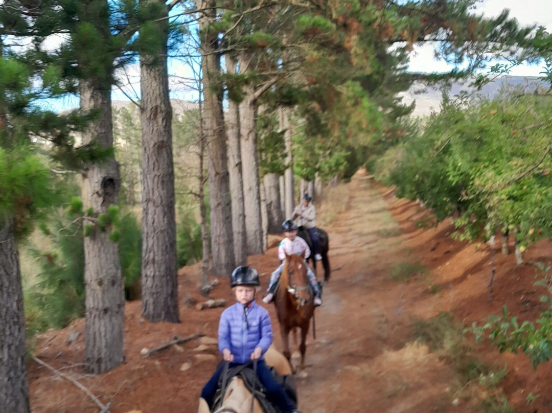 Heaven and Earth Trails-赫曼努斯必去景点