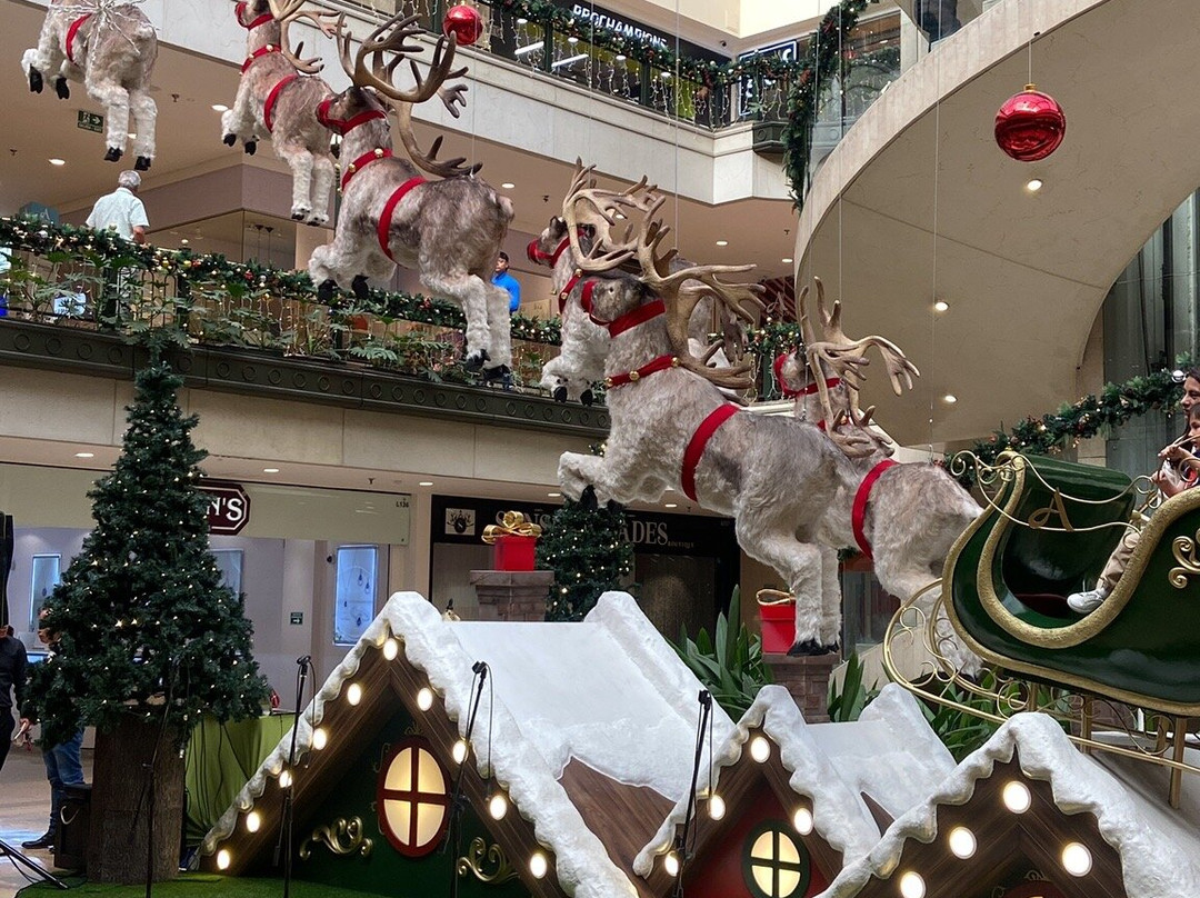 Centro Comercial Andino-波哥大必去景点