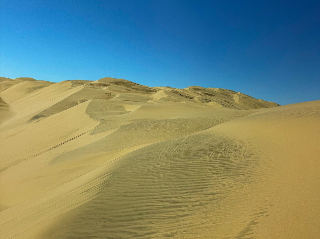 Inami Safaris-华维斯湾必去景点