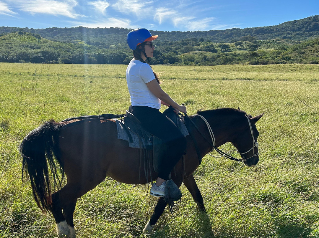 Hacienda El Cenizaro Tours & Adventures景点图片