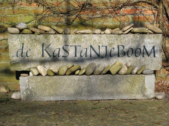 De Kastanjeboom主图