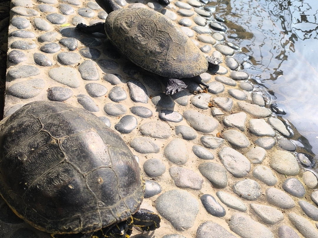 Mirador de Uchupampa主图