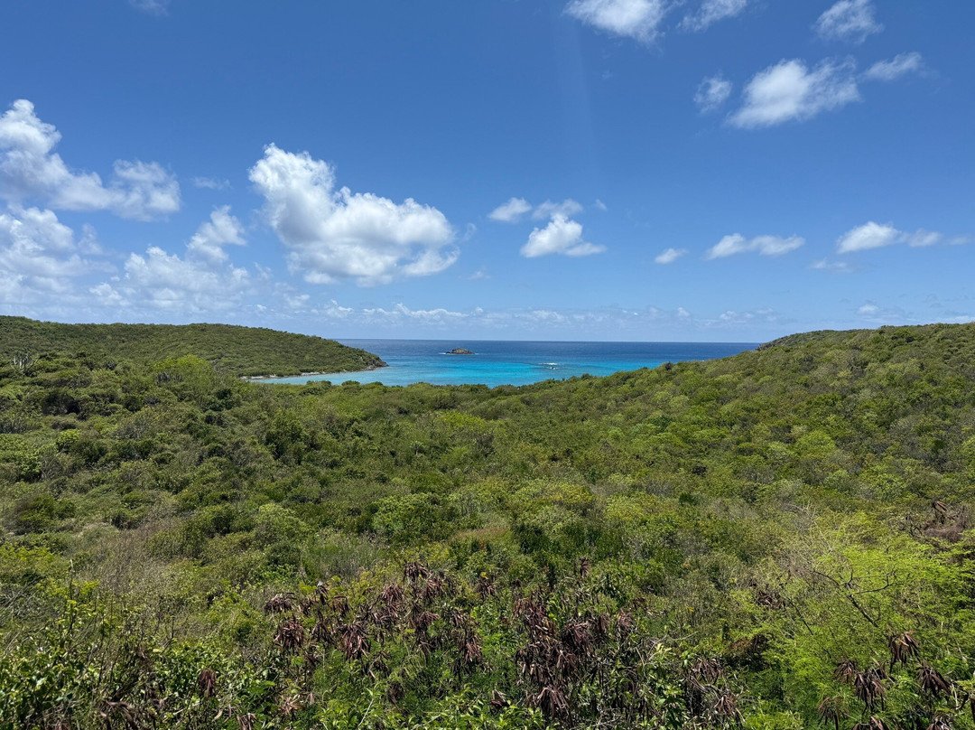 Concordia Cafe at Eco-Resort
