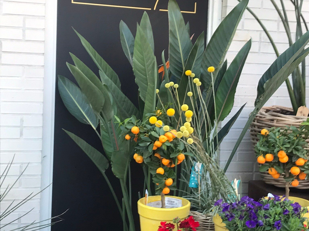 Bloemenhuis Monique-Heiloo必去景点