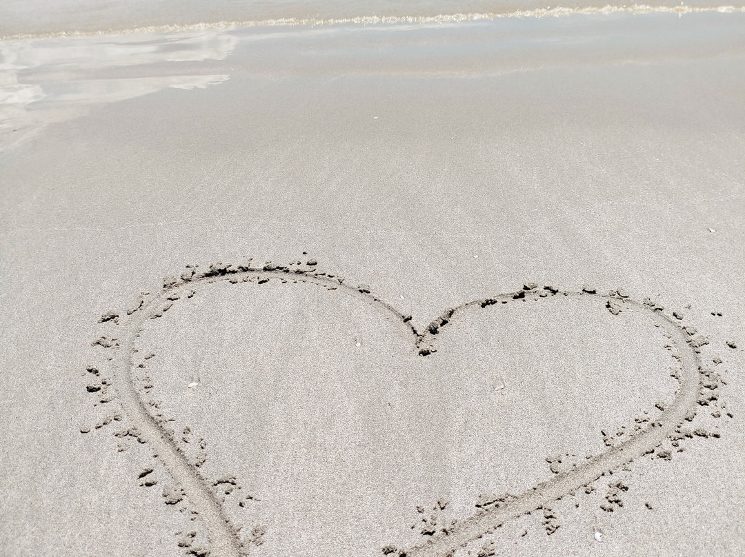 雷特海滩-芽庄必去景点